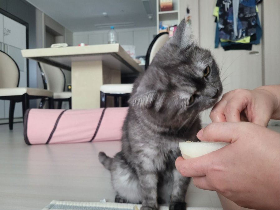 츮 
