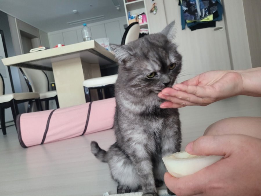 츮 