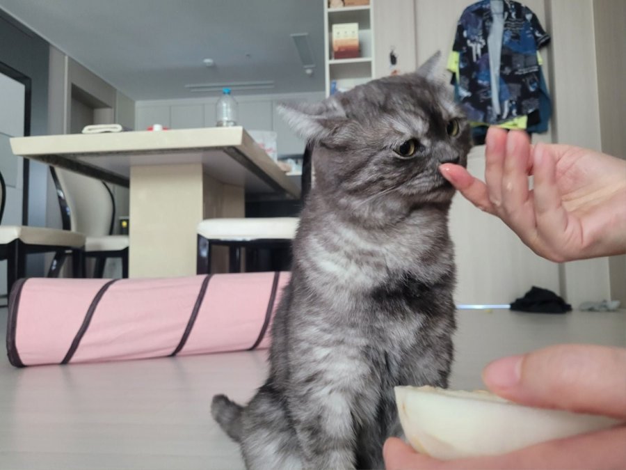 츮 