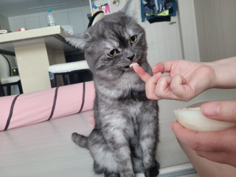 츮 