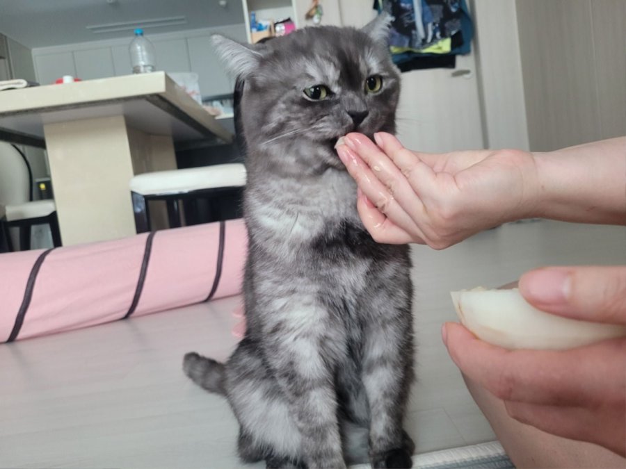 츮 