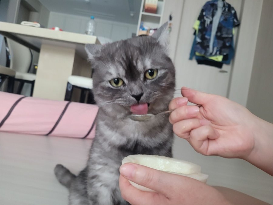 츮 
