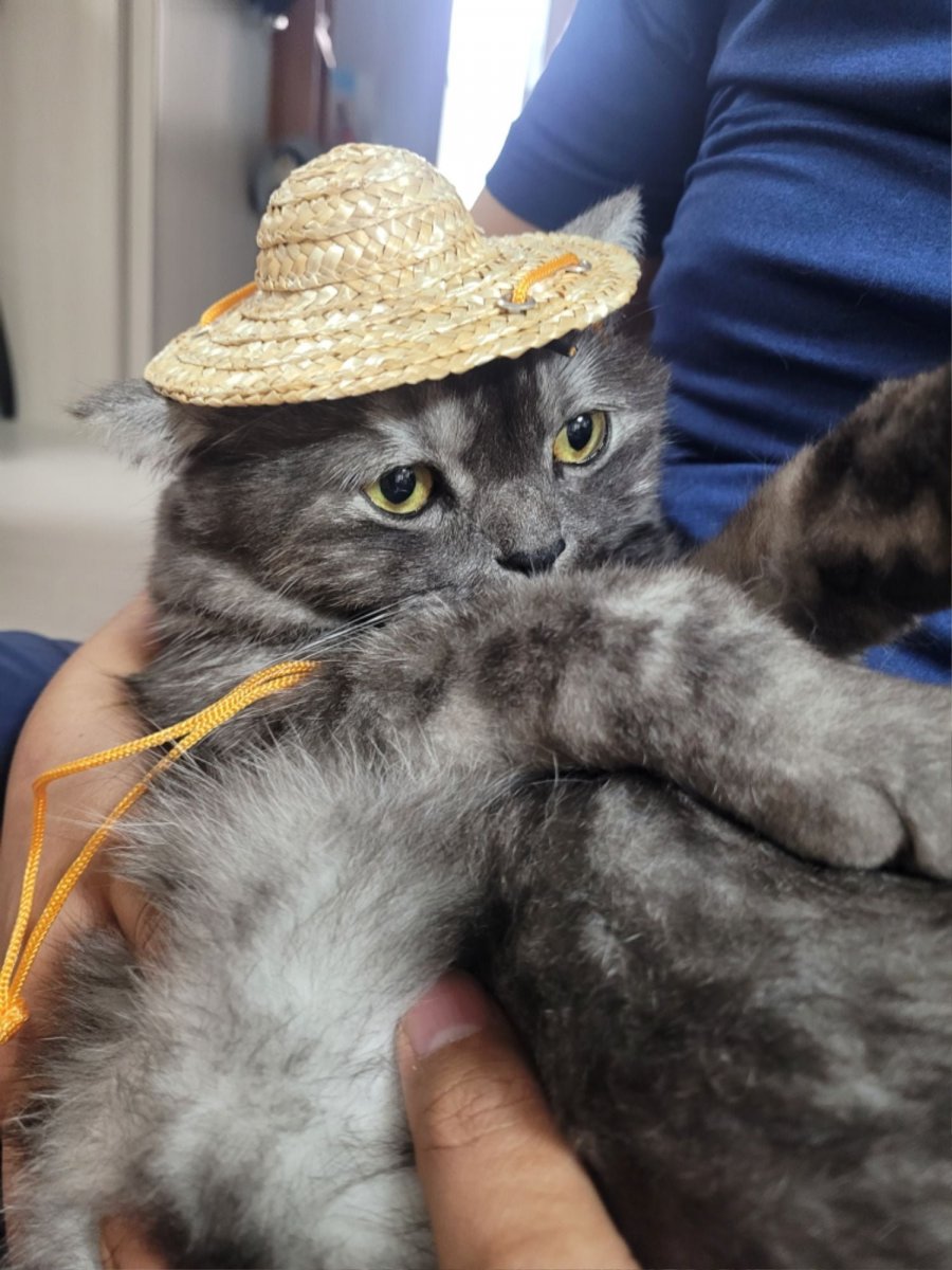 츮 