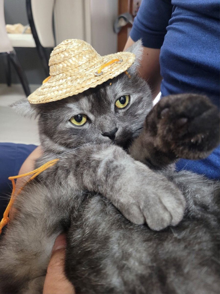 츮 