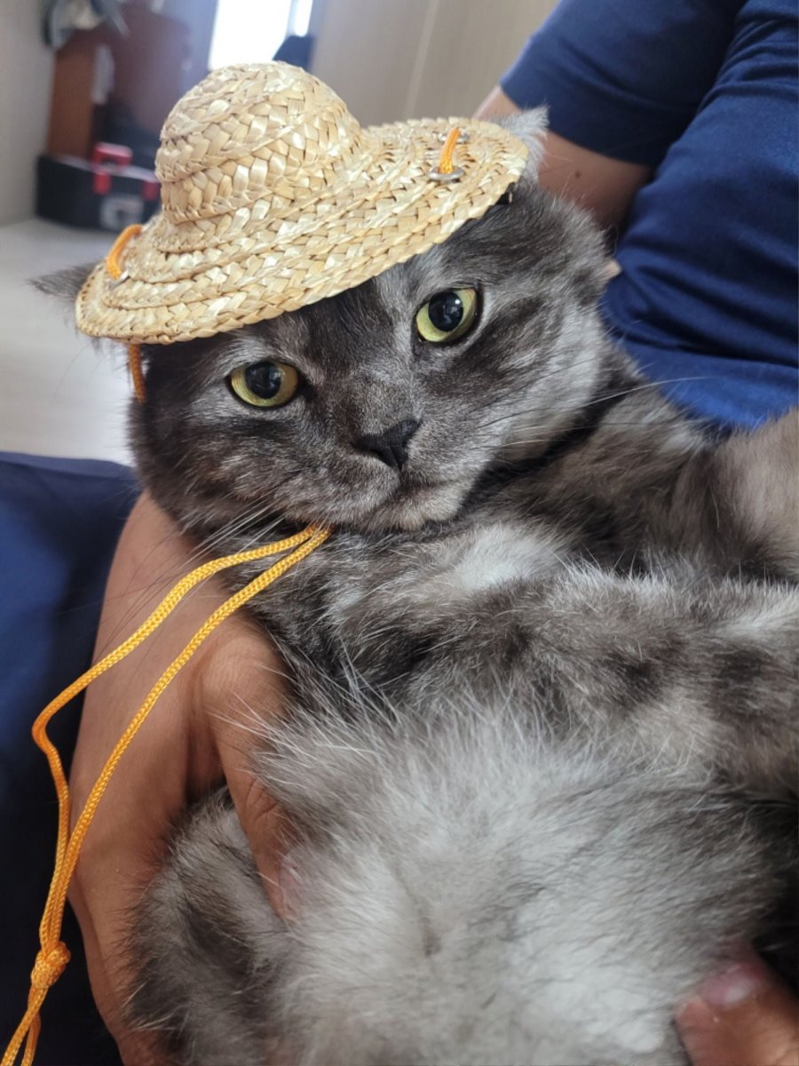 츮 