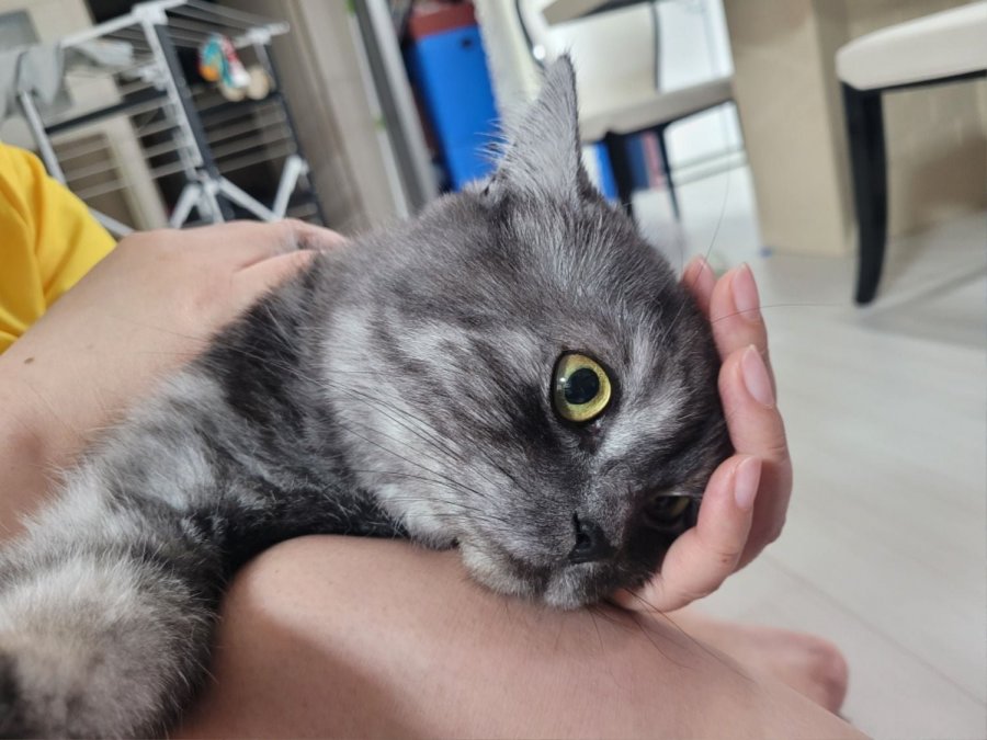 츮 