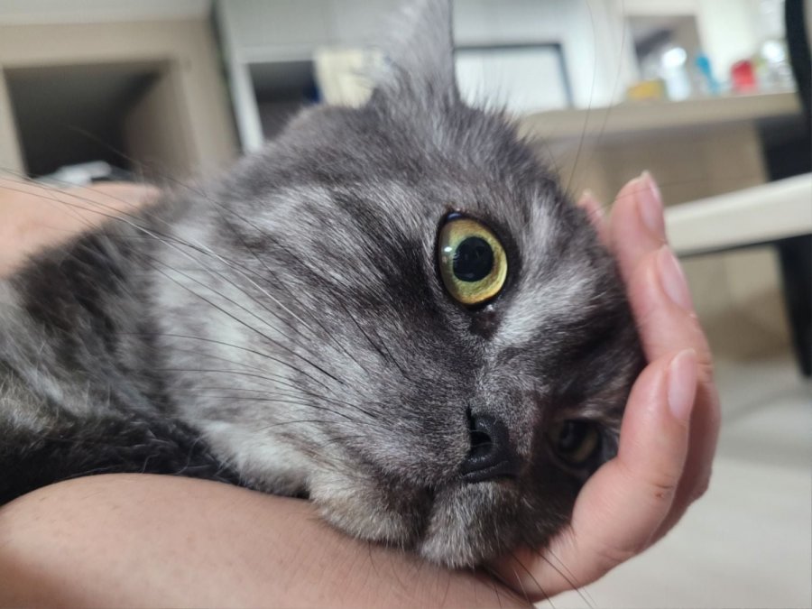 츮 
