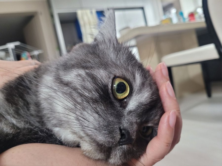 츮 