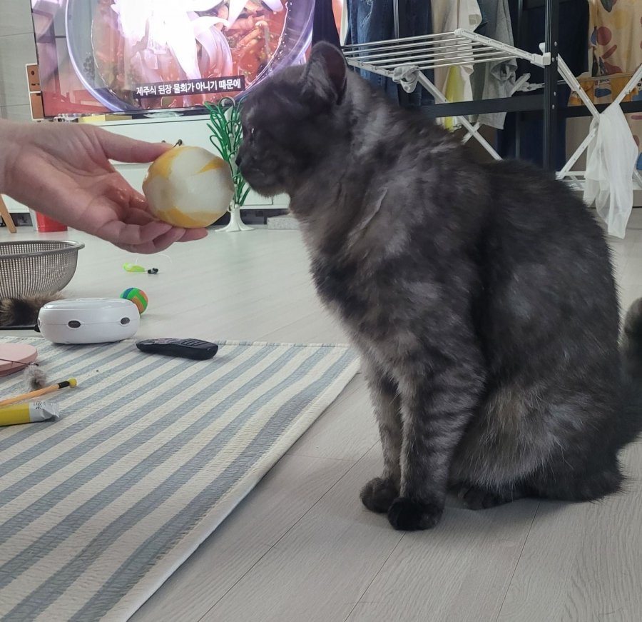 츮 