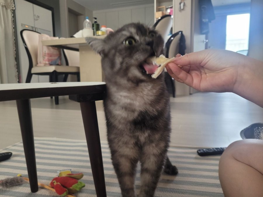 츮 