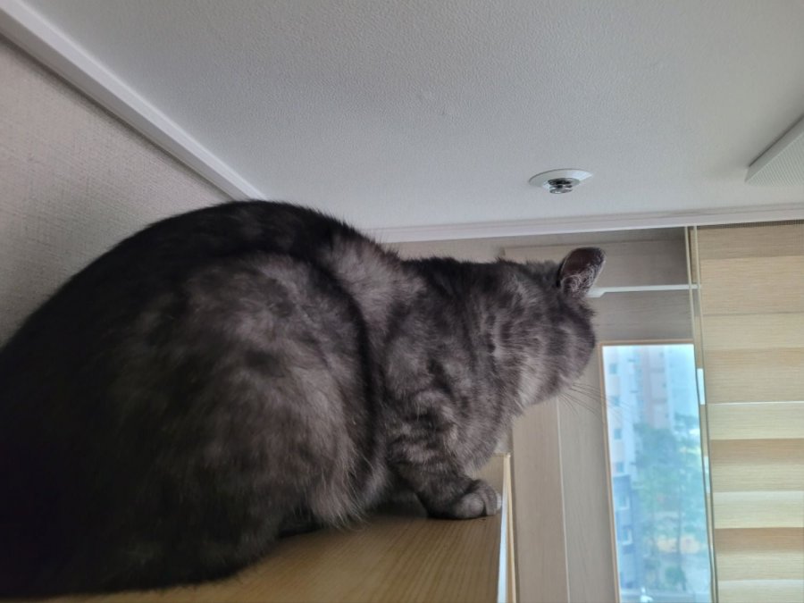 츮 