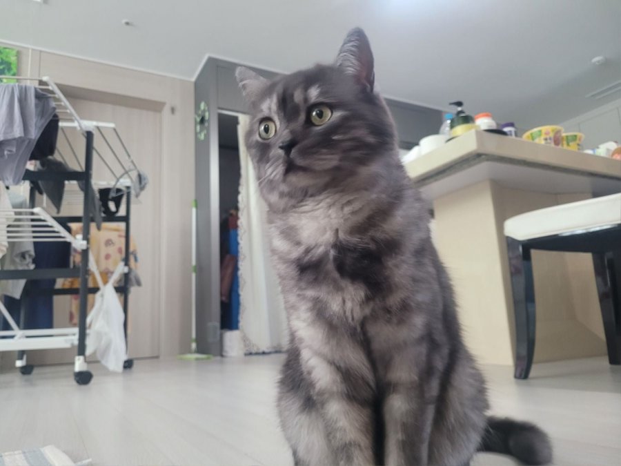 츮 