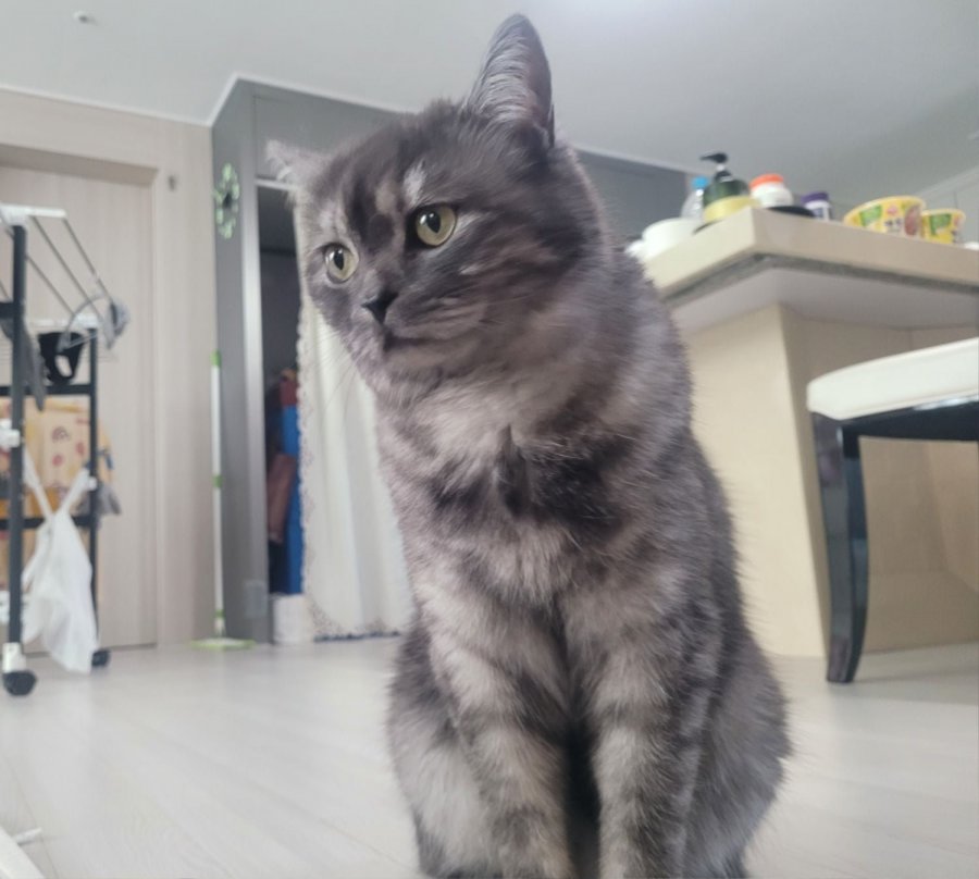 츮 