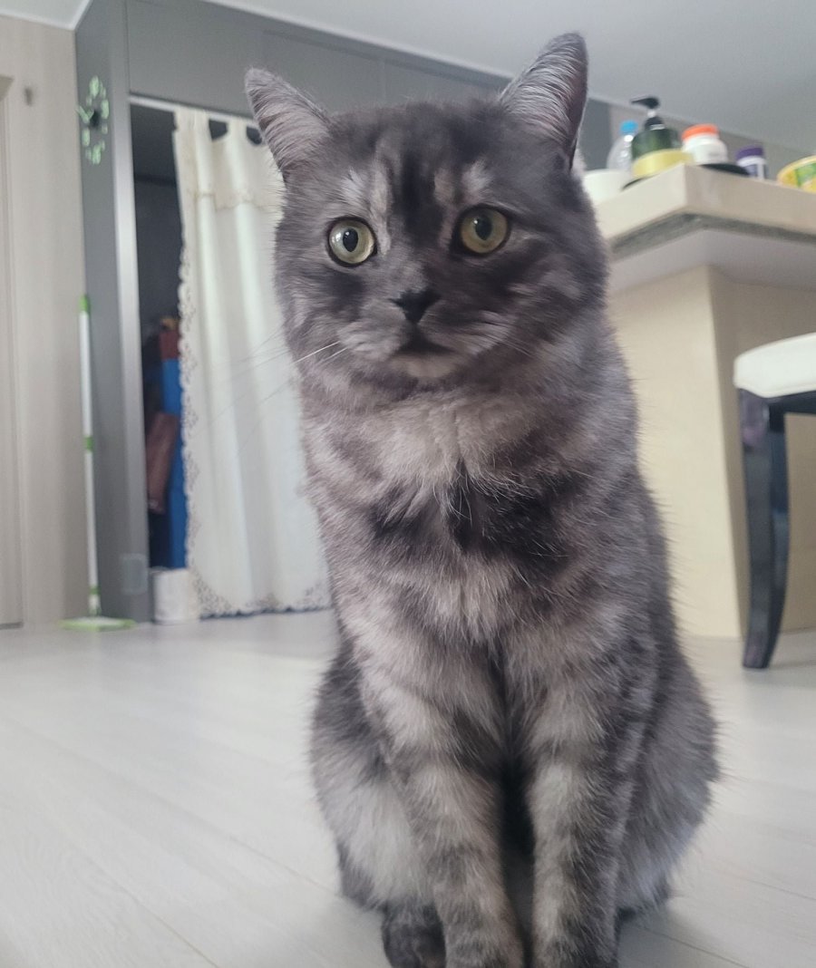 츮 