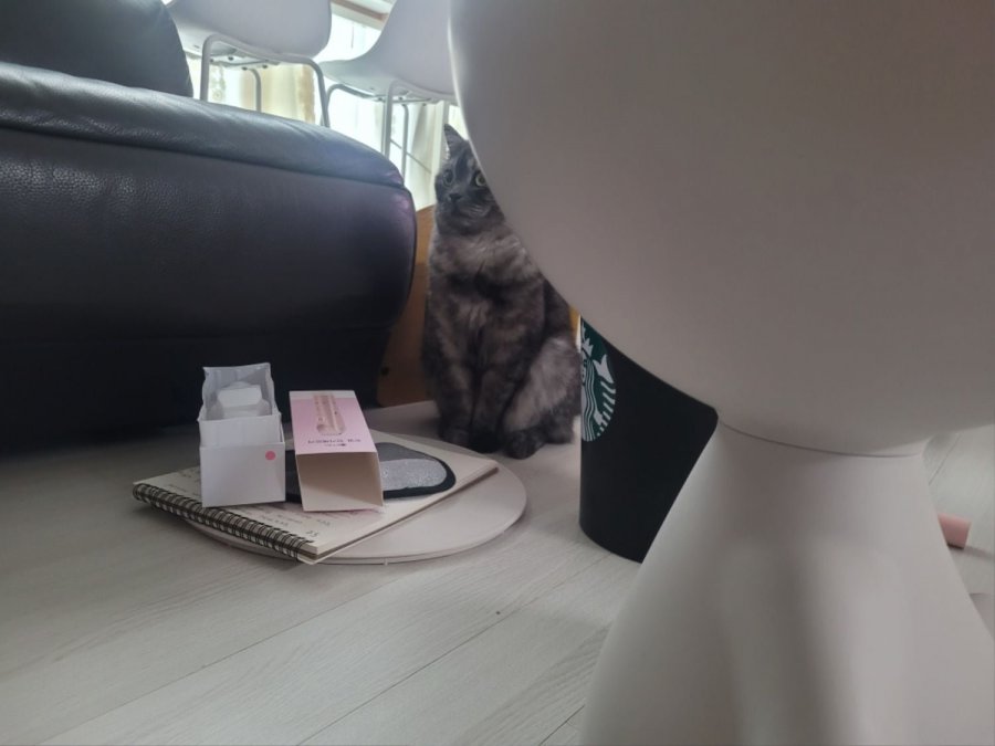 츮 