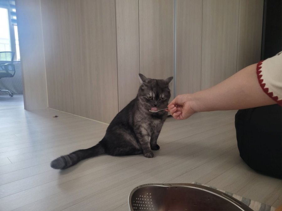 츮 