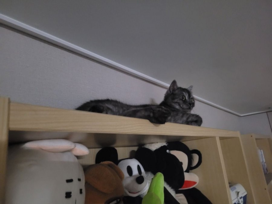 츮 