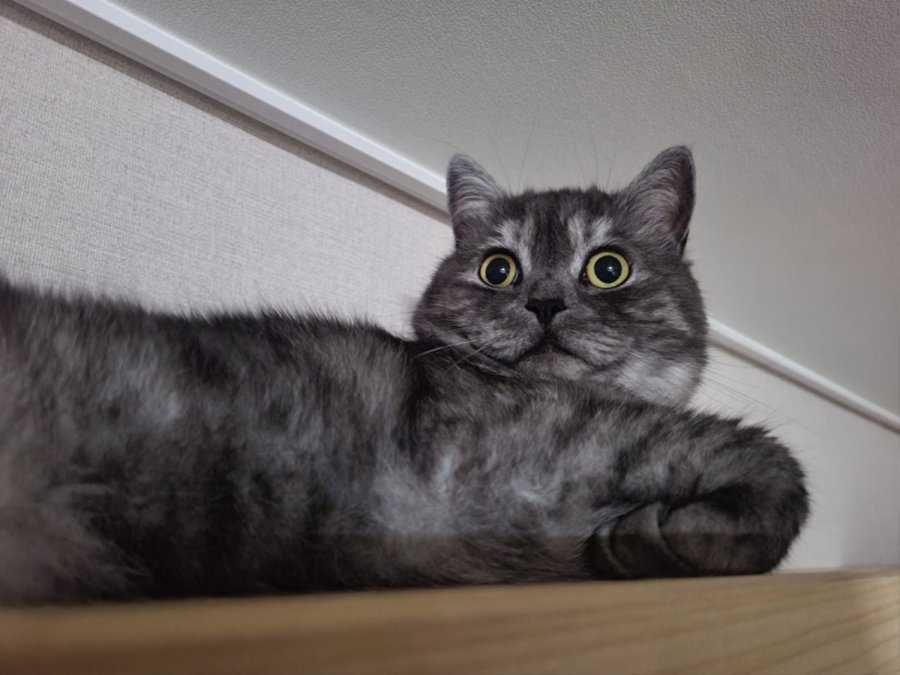 츮 