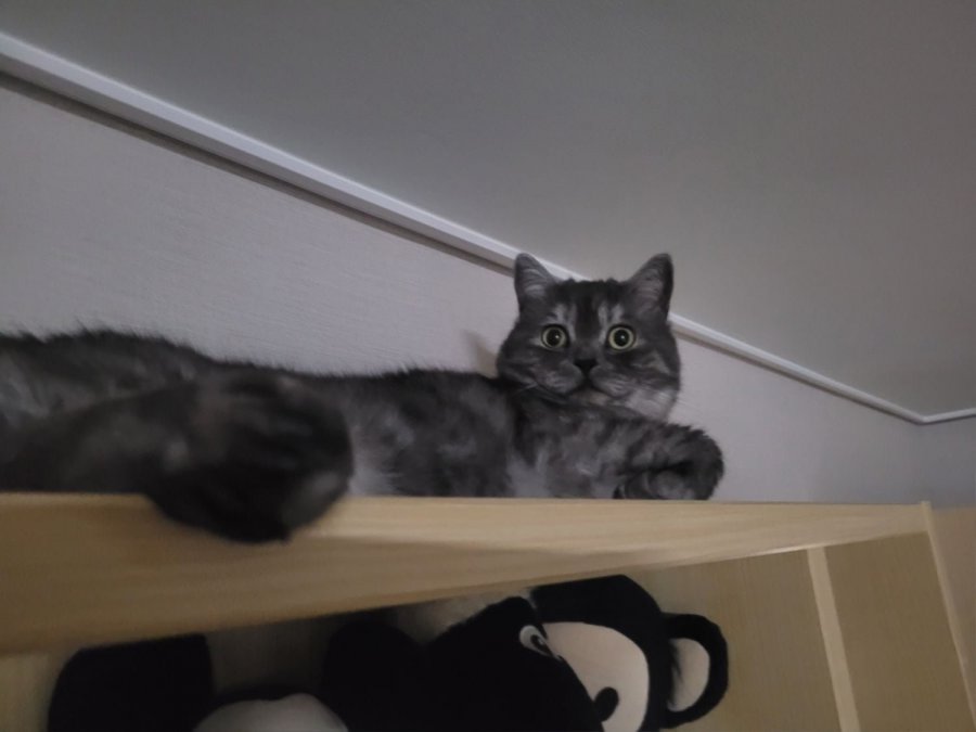 츮 