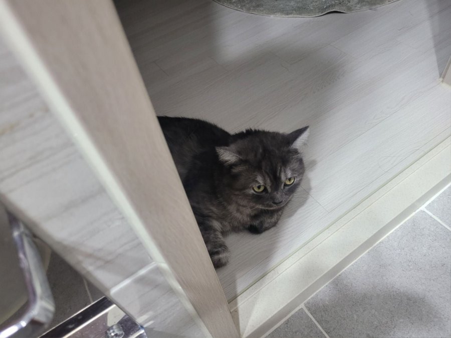 츮 