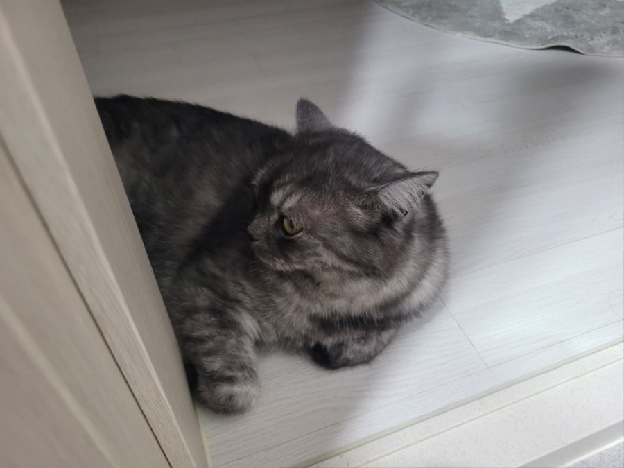 츮 