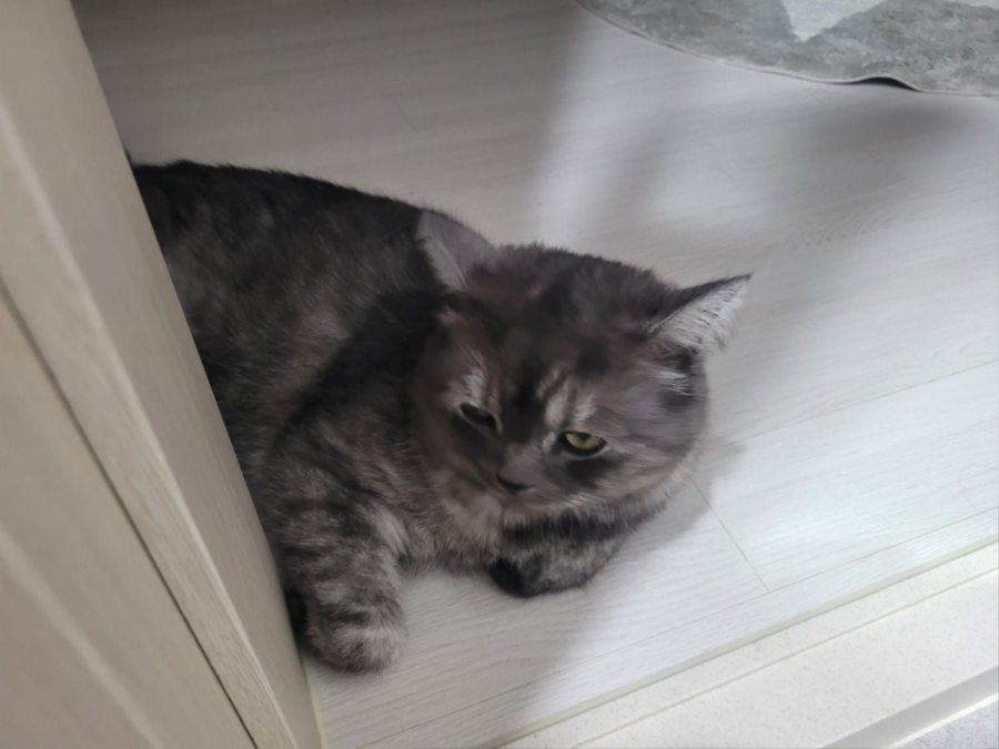 츮 