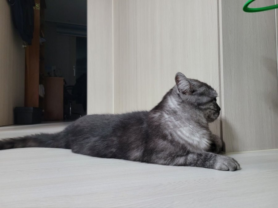츮 