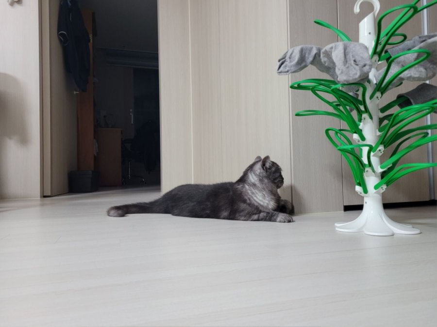 츮 