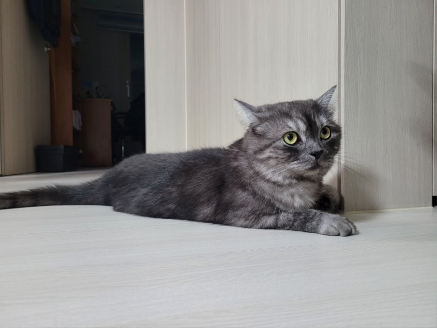츮 