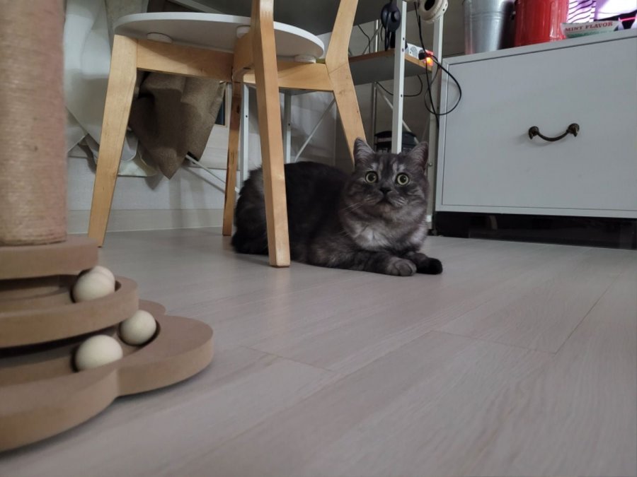 츮 