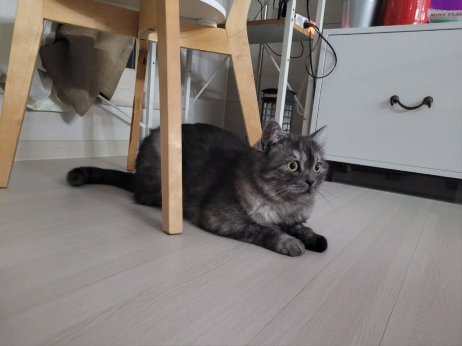 츮 