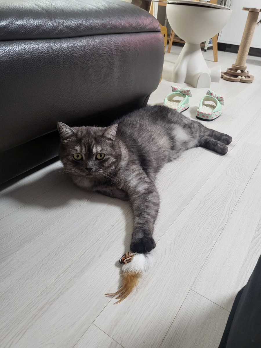 츮 