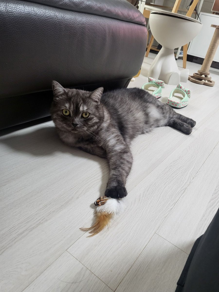 츮 