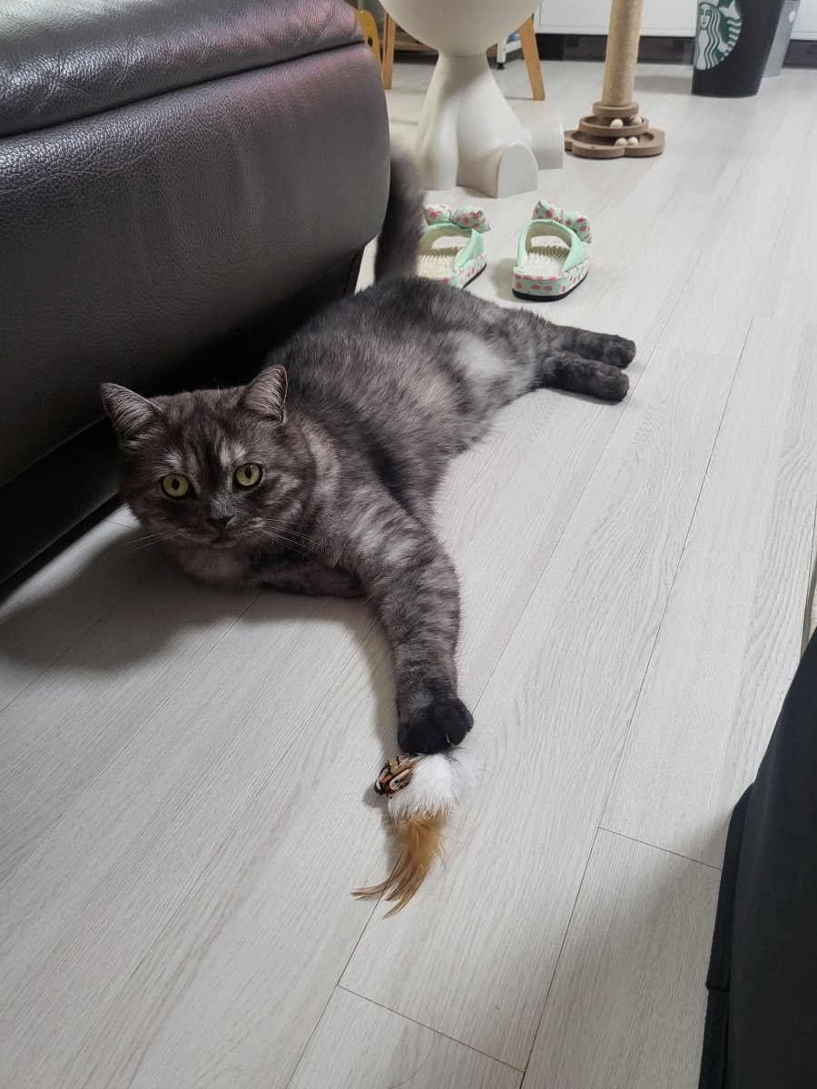츮 