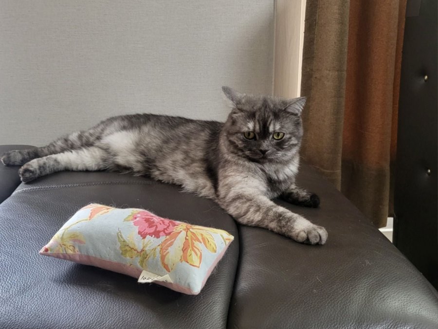 츮 