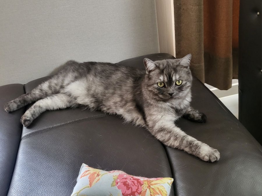 츮 