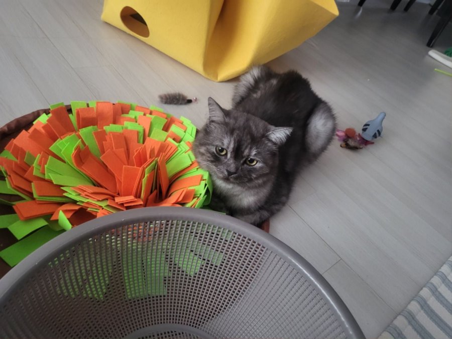 츮 