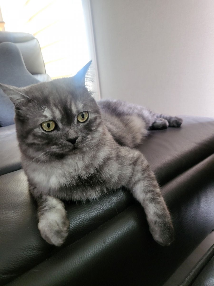 츮 