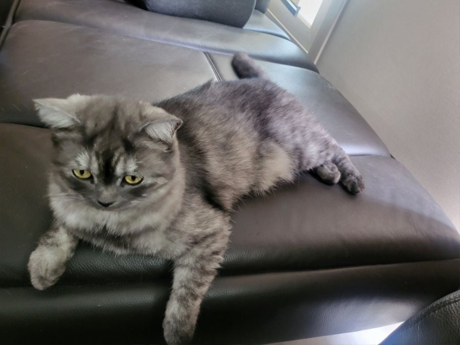 츮 