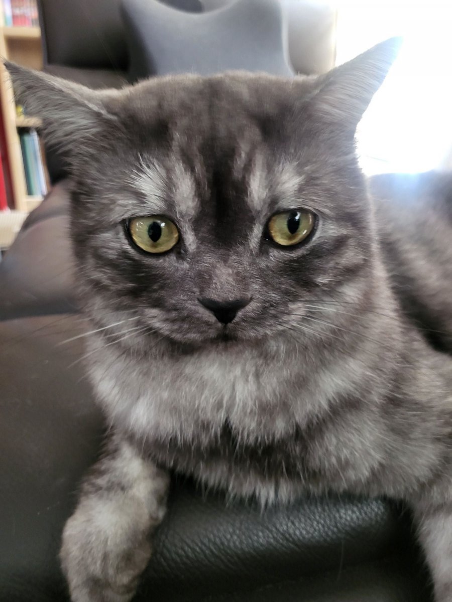 츮 