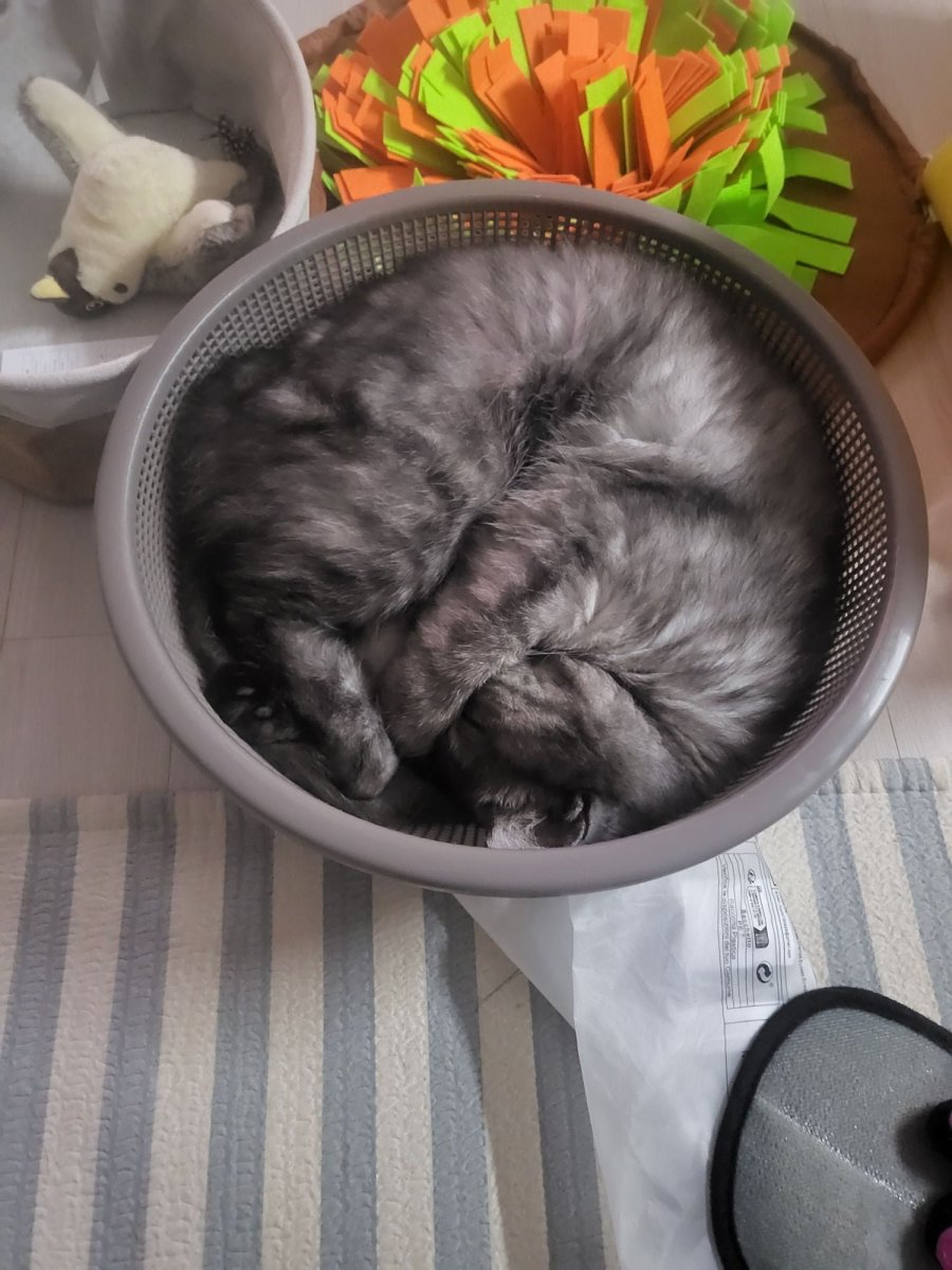 츮 