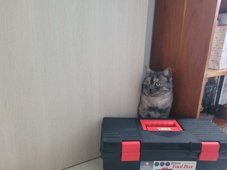 츮 