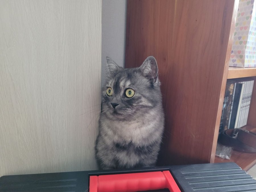 츮 