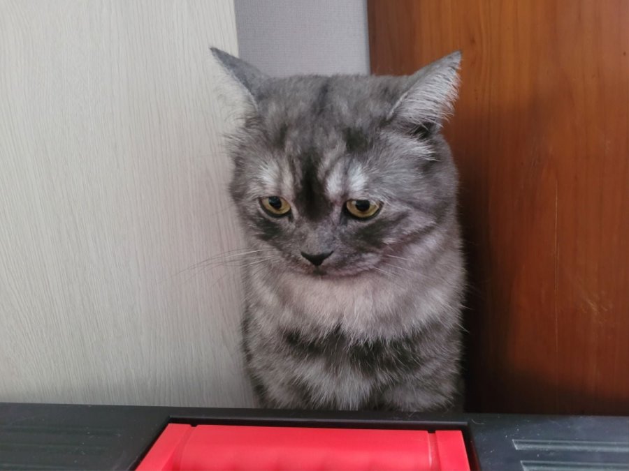 츮 