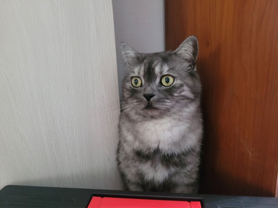츮 