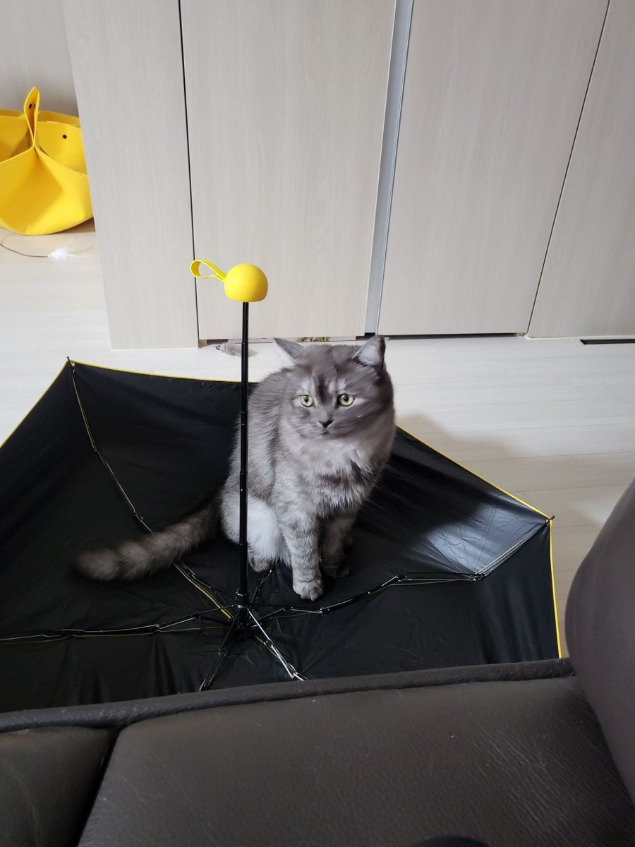 츮 