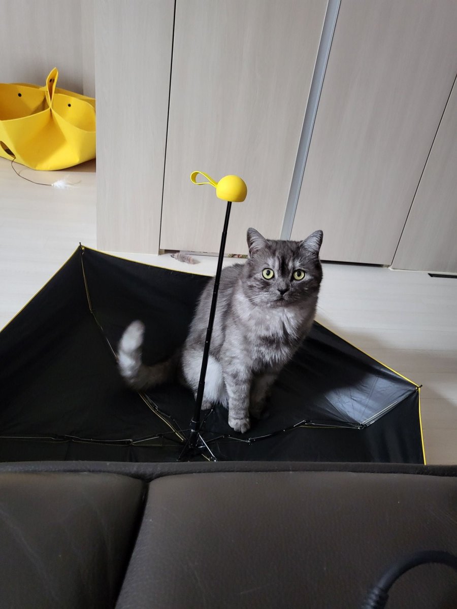 츮 