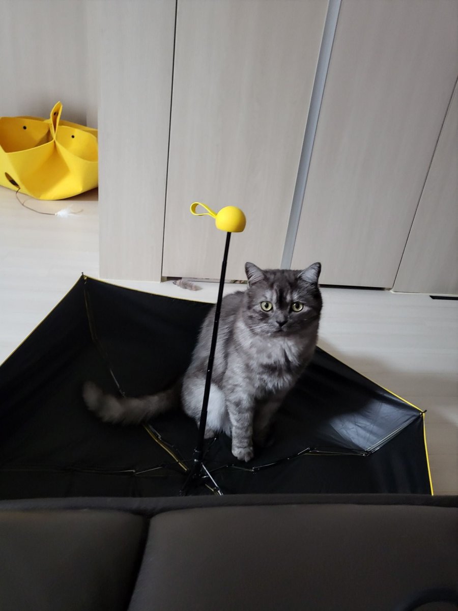 츮 