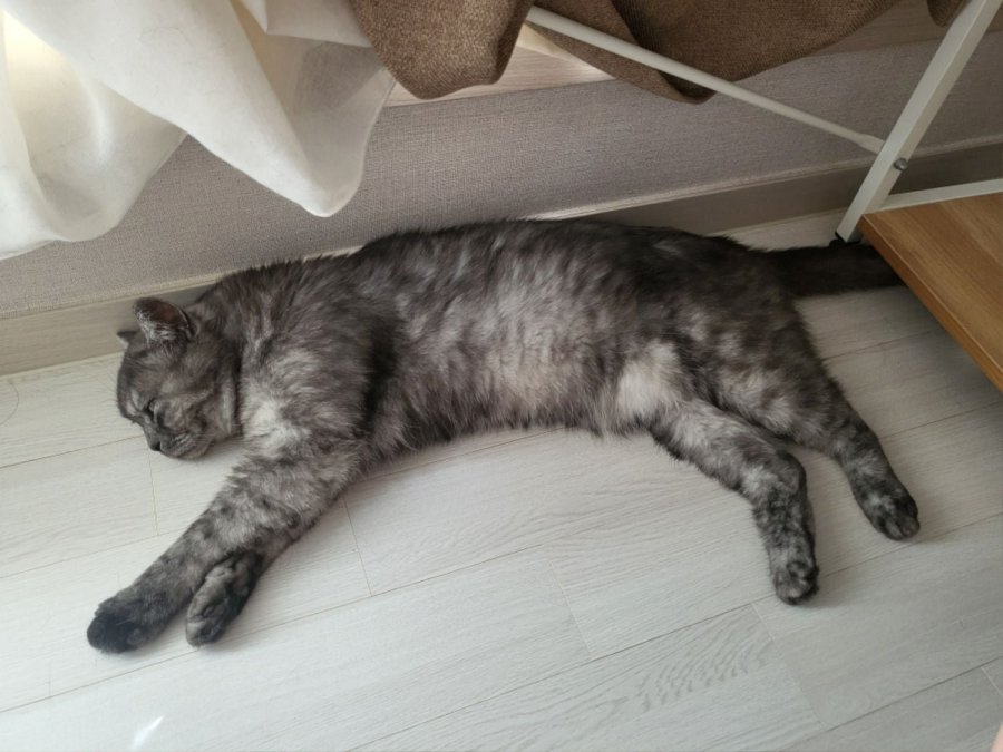 츮 