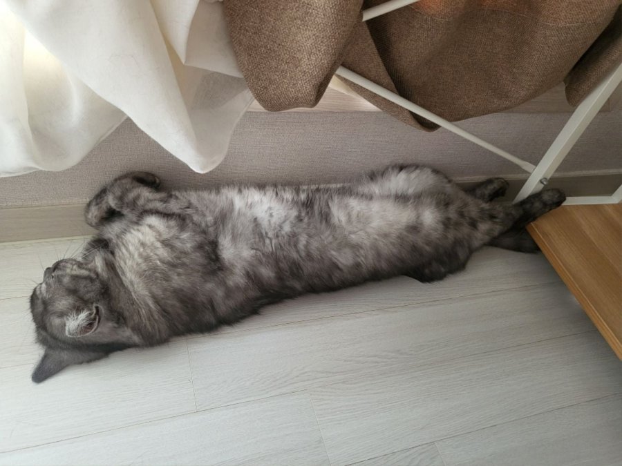 츮 